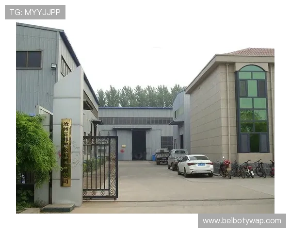 欧博abg会员安全保障措施平台为会员提供的安全保障和隐私保护措施介绍